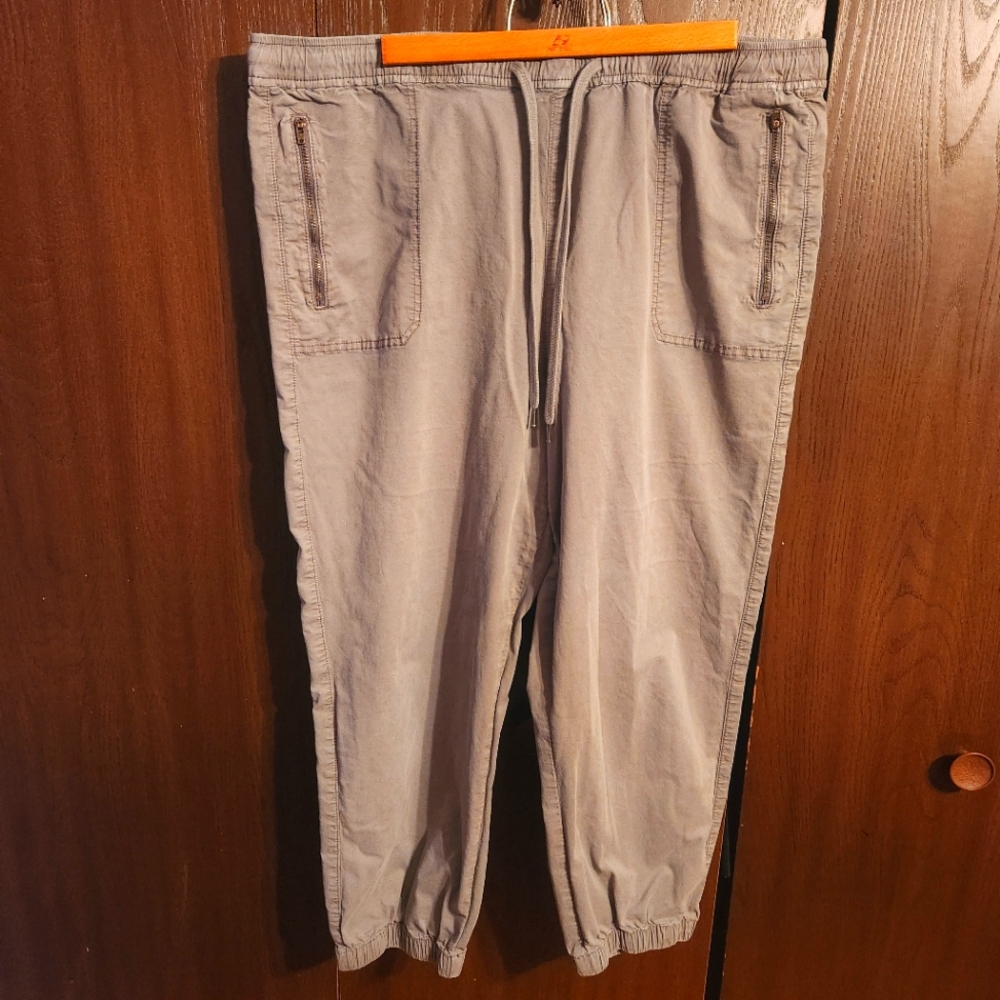 American Eagle Outfitters cotton joggers XXL